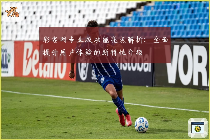 彩客网专业版功能亮点解析：全面提升用户体验的新特性介绍