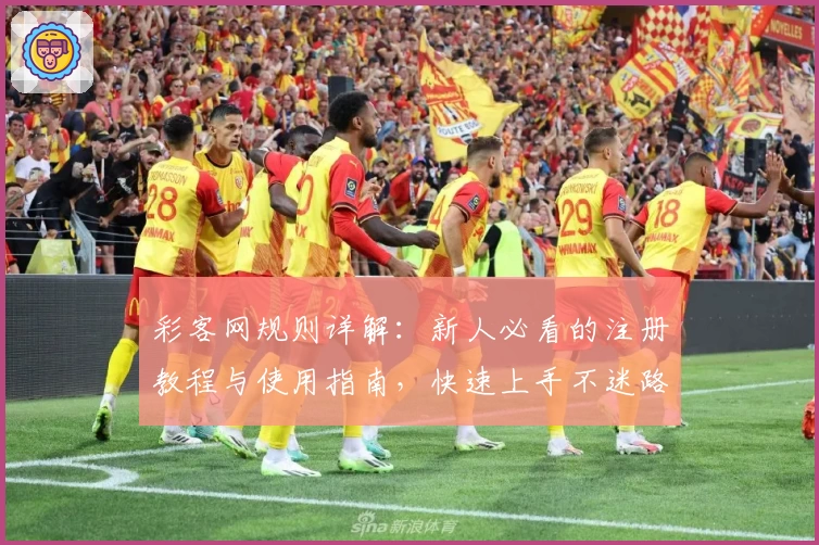 彩客网规则详解：新人必看的注册教程与使用指南，快速上手不迷路