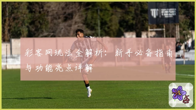 彩客网玩法全解析：新手必备指南与功能亮点详解