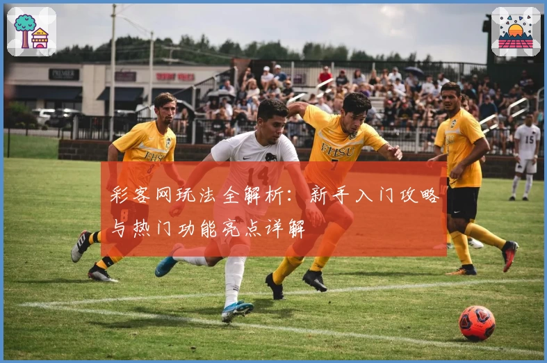 彩客网玩法全解析：新手入门攻略与热门功能亮点详解